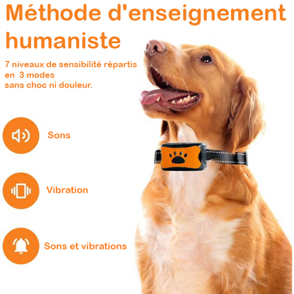 Pain-Free Anti-Bark Collar